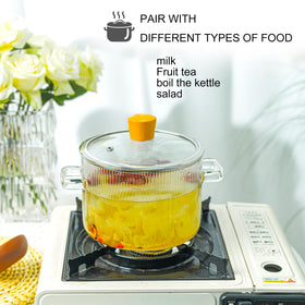 Recceng Glass Simmer Pot clear glass body for easy monitoring.