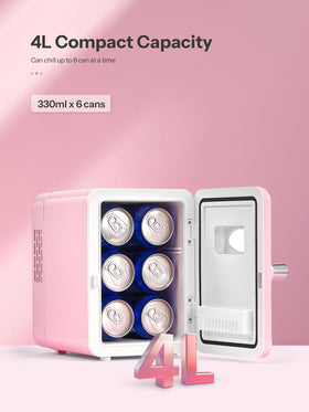 Reemix mini fridge 4L inside view shows six cans capacity