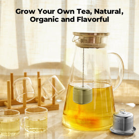 Two-pack Reinmoson tea infusers for convenient use
