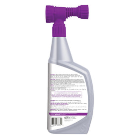 Rejuvenate Window Cleaner usage in mild weather shows potential for a pristine finish when used correctly