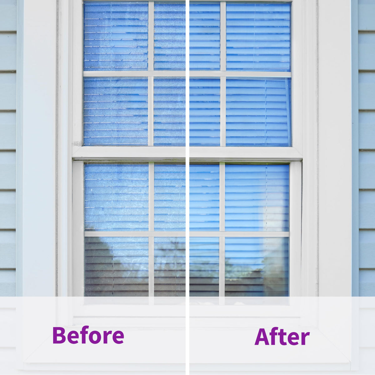 Rejuvenate Window Cleaner near plants highlights non toxic formula safe around greenery