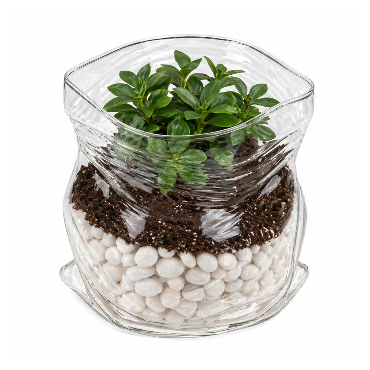 Restaurantware clear glass bowl 22 oz unzipped-bag crinkle-edge showcases snacks with style.