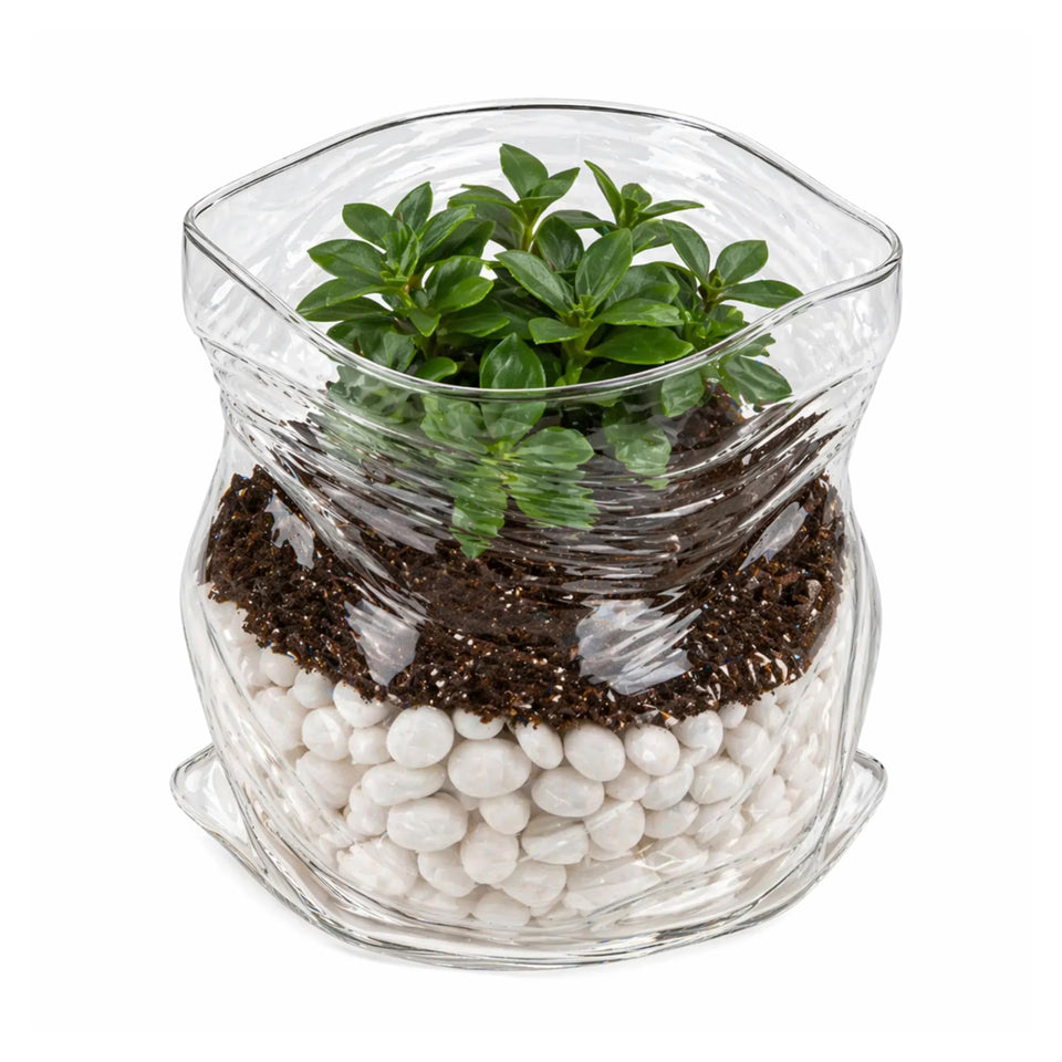 Restaurantware clear glass bowl 22 oz unzipped-bag crinkle-edge showcases snacks with style.