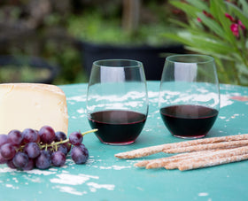 Riedel O stemless tumbler shown with dishwasher-safe convenience