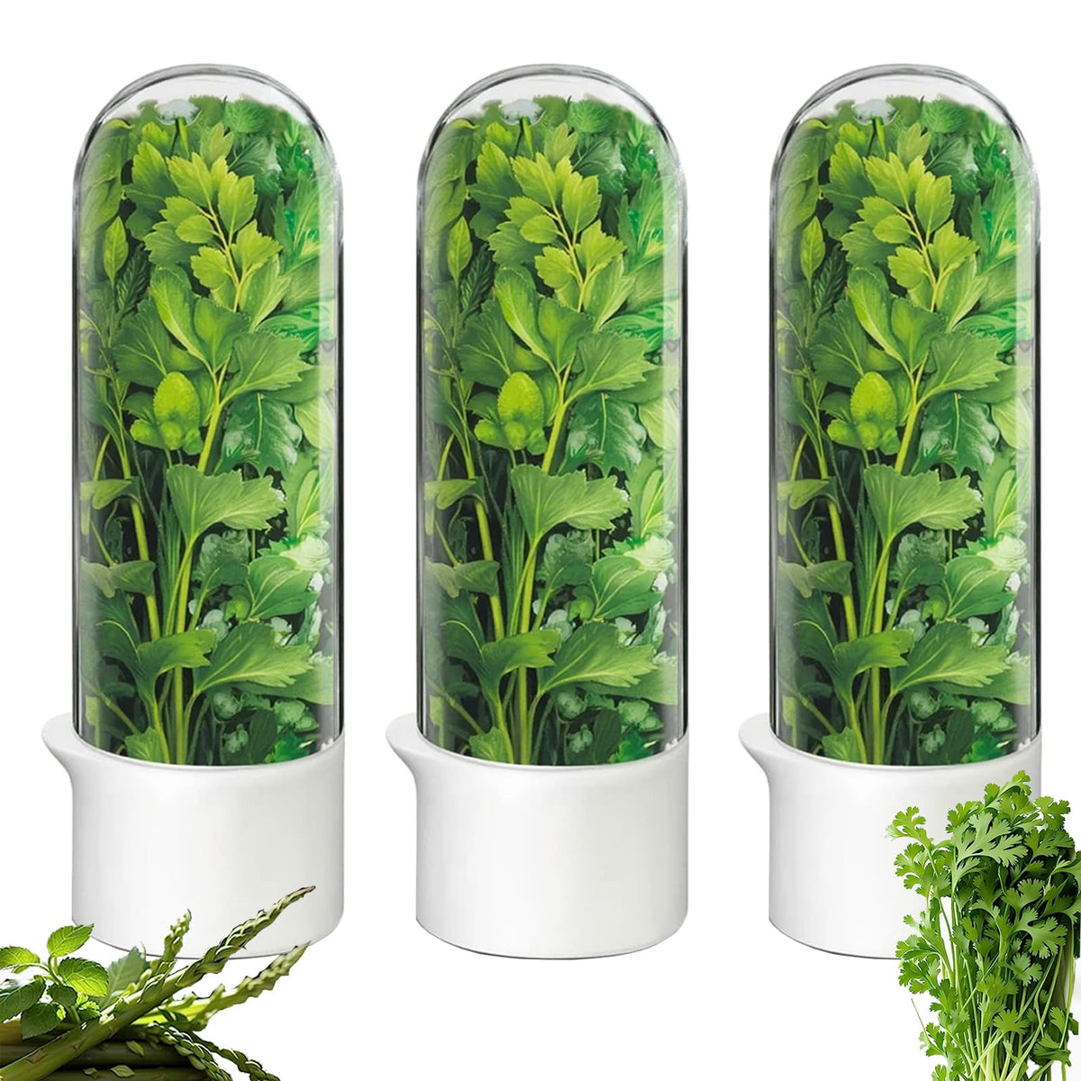Rkssws herb saver bottle keeps cilantro fresh in the fridge up to three weeks.