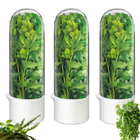 Rkssws herb saver bottle keeps cilantro fresh in the fridge up to three weeks.