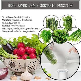 Rkssws Herb Saver tall design keeps herbs upright and fresh