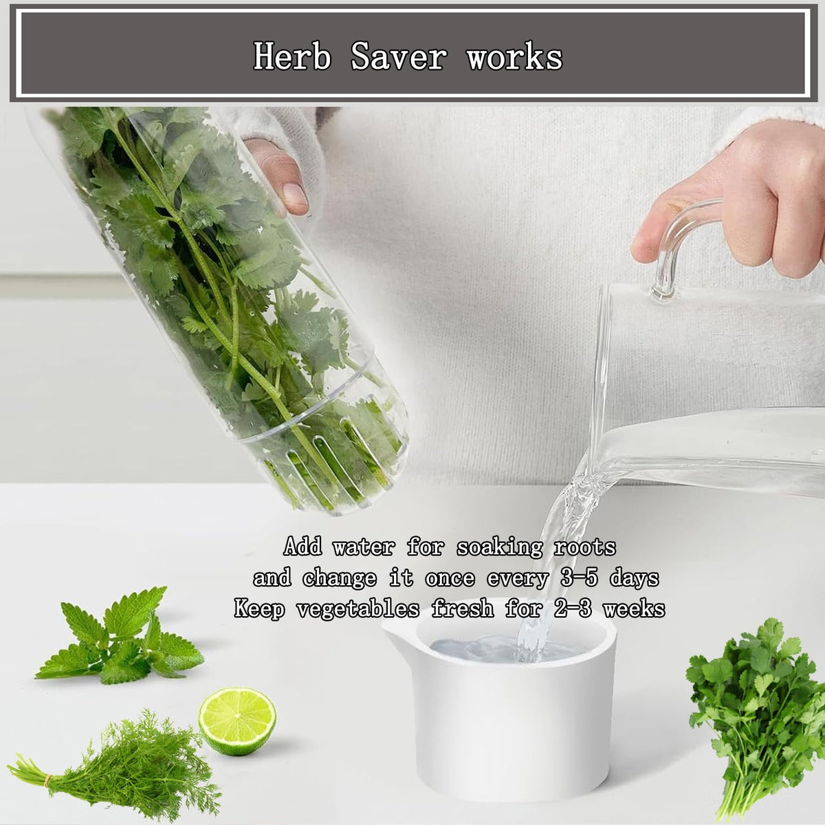 Rkssws Herb Saver water base maintains moisture without sogginess