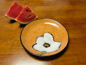 RockGoldBug 8in appetizer plate shows color-rich design for starters and tasting portions.