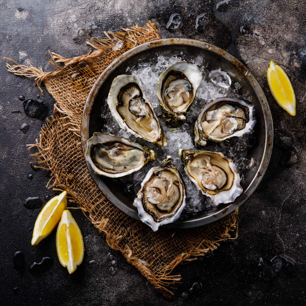 Durable Rockland Guard shucker set ideal for outdoor seafood trips.