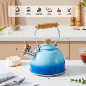 ROCKURWOK 1.6 qt kettle ideal for single or couple tea moments