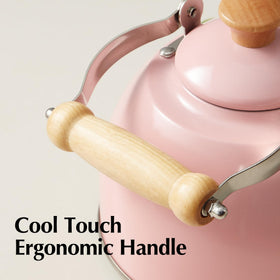 ROCKURWOK BPA-free, non-Teflon kettle for safe heating.