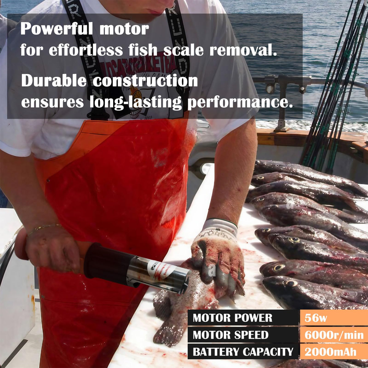 ROEDEER built-in battery-powered scaler enabling portable use.