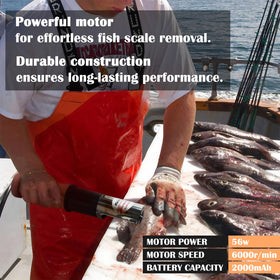 ROEDEER built-in battery-powered scaler enabling portable use.