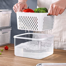Ronanemon BPA-free clear plastic produce keeper with visible contents and odor resistance