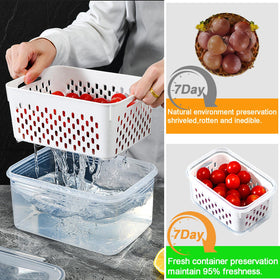 Ronanemon meal prep fridge collection keeps fruits and vegetables neatly stored