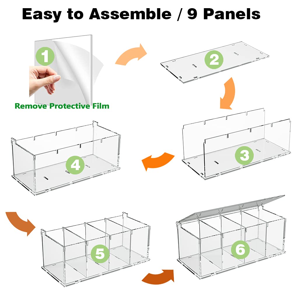 RR RAXMIN acrylic lid on the capsule holder showing secure, tidy display