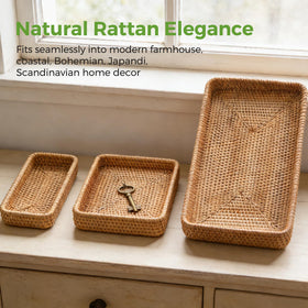 S310 rectangle baskets used for fruit and snacks on the counter