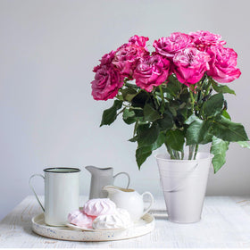 Sadnyy multiuse galvanized buckets for storage and organization at home.