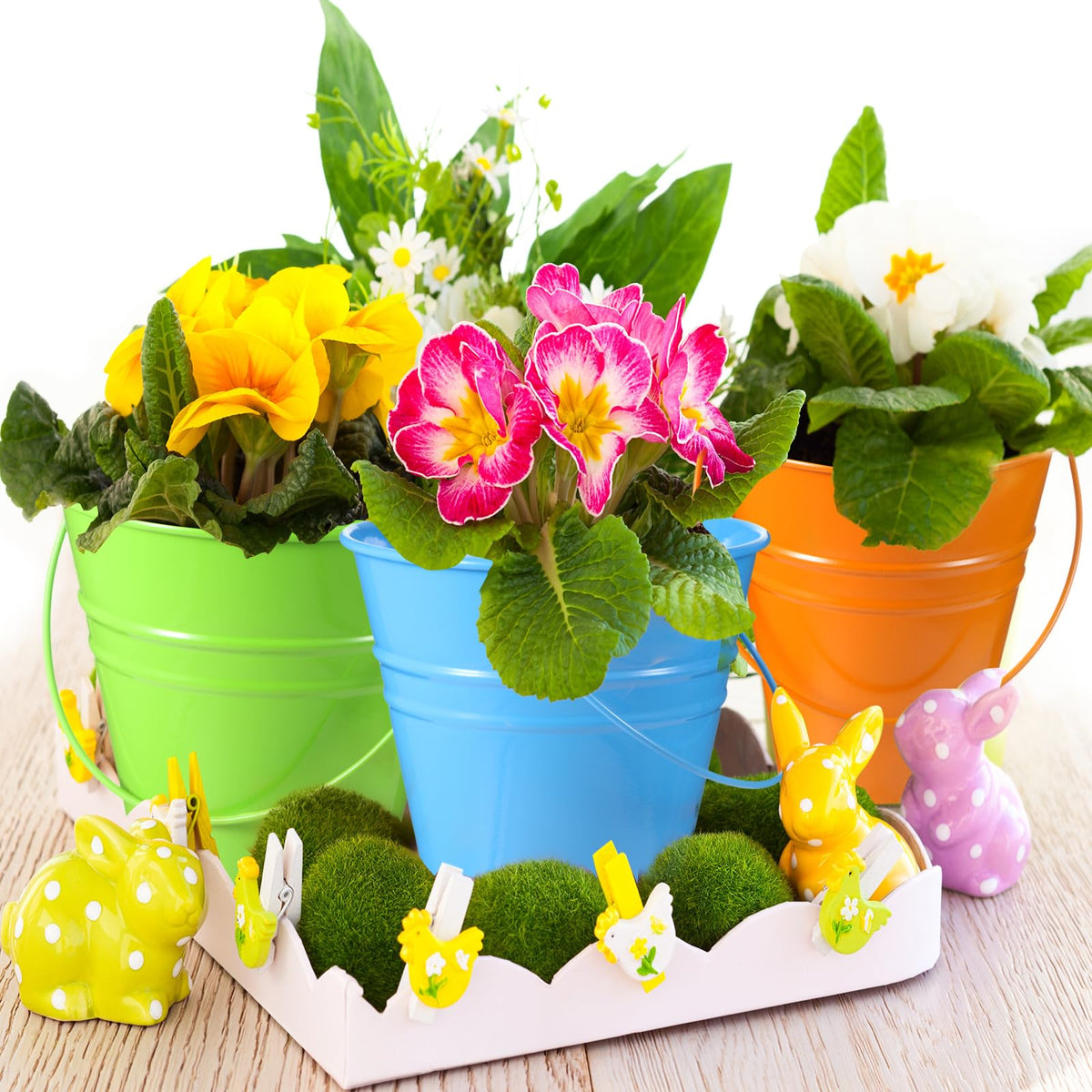 Sadnyy rainbow metal buckets decorations and treat containers at events