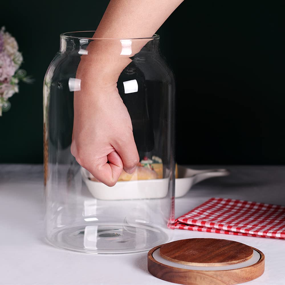 SAIOOL BPA-free glass storage container for safe food storage