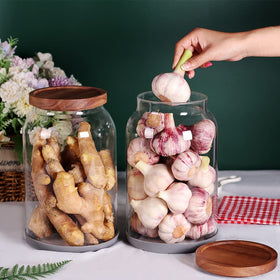SAIOOL set of two jars in a kitchen for organization
