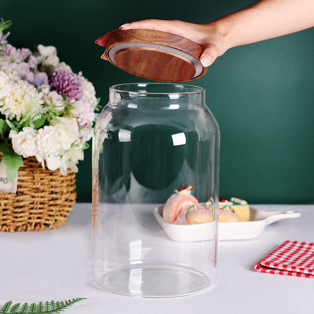 SAIOOL jar with spaghetti pasta for tidy kitchen storage