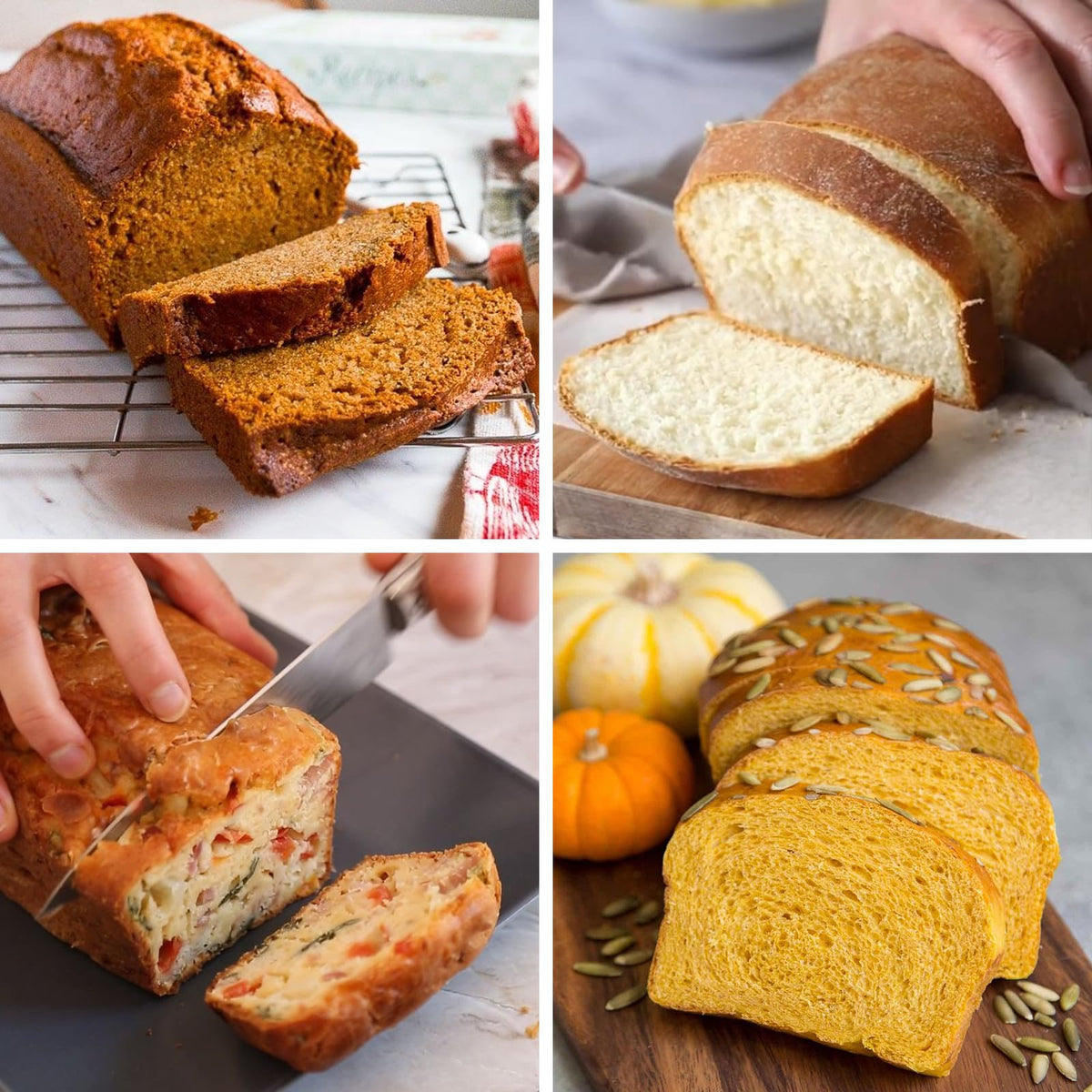Sakolla Confetti loaf pan, microwave and freezer friendly for versatile prep.