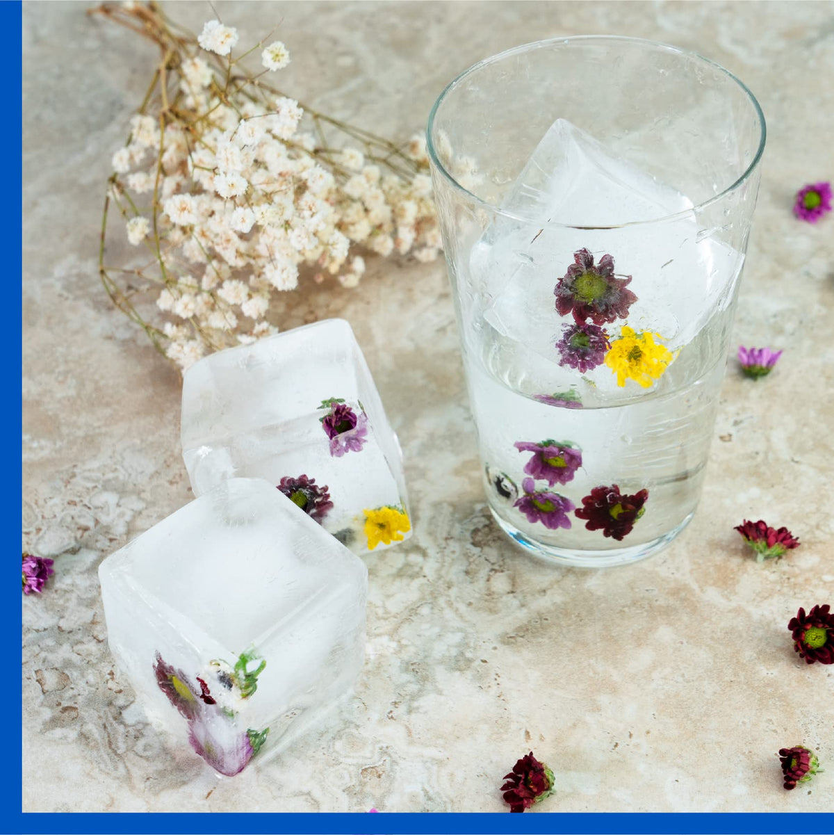 Samuelworld premium gift ice tray ideal for home bars and celebrations.