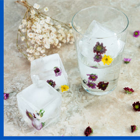 Samuelworld premium gift ice tray ideal for home bars and celebrations.
