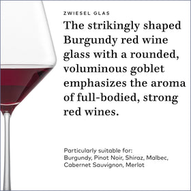 Schott Zwiesel Pure Burgundy glass demonstrates dishwasher-safe Tritan crystal durability