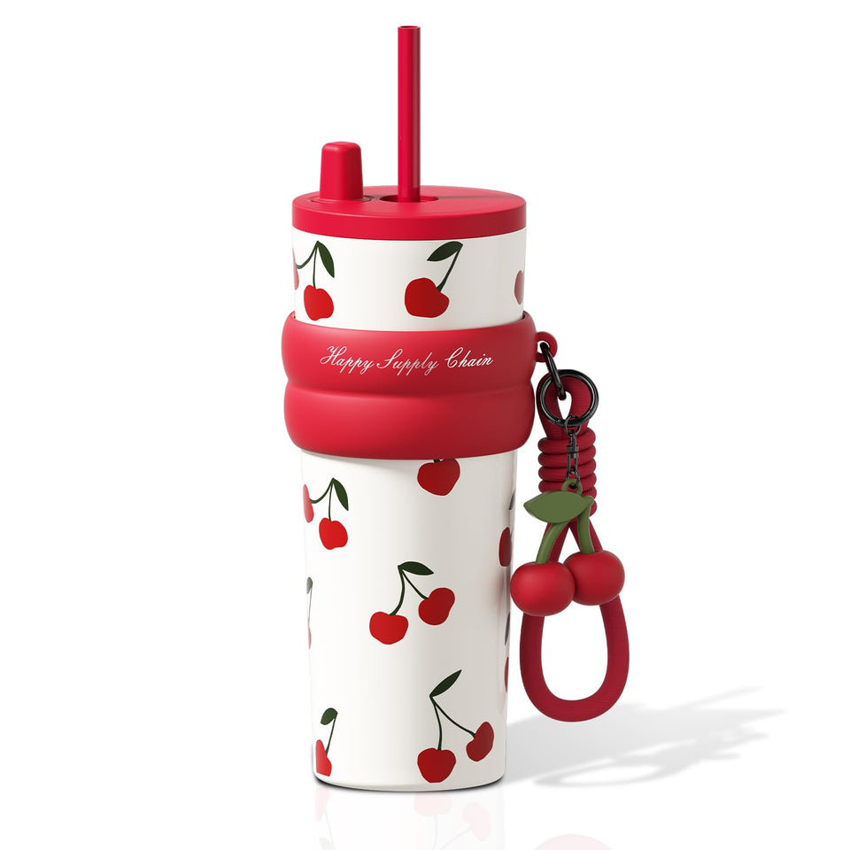 SDGA+ cherry tumbler with lid-straw for everyday use