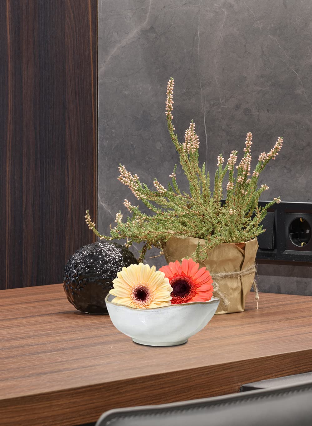 Serene Spaces Living ceramic bowl with succulents adds light, natural texture