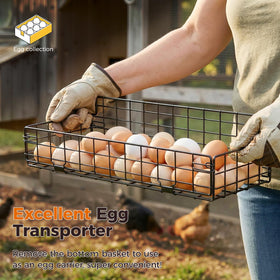 Sevenblue upgraded egg holder reinforced frame resists rust and fading for durability