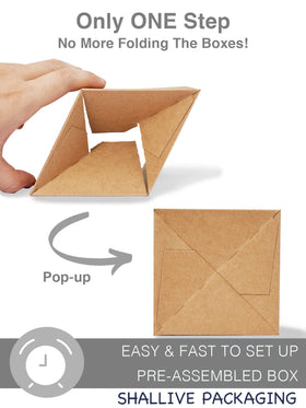 Shallive Kraft cupcake box insert adjustable demonstrates secure hold for standard or mini cupcakes.