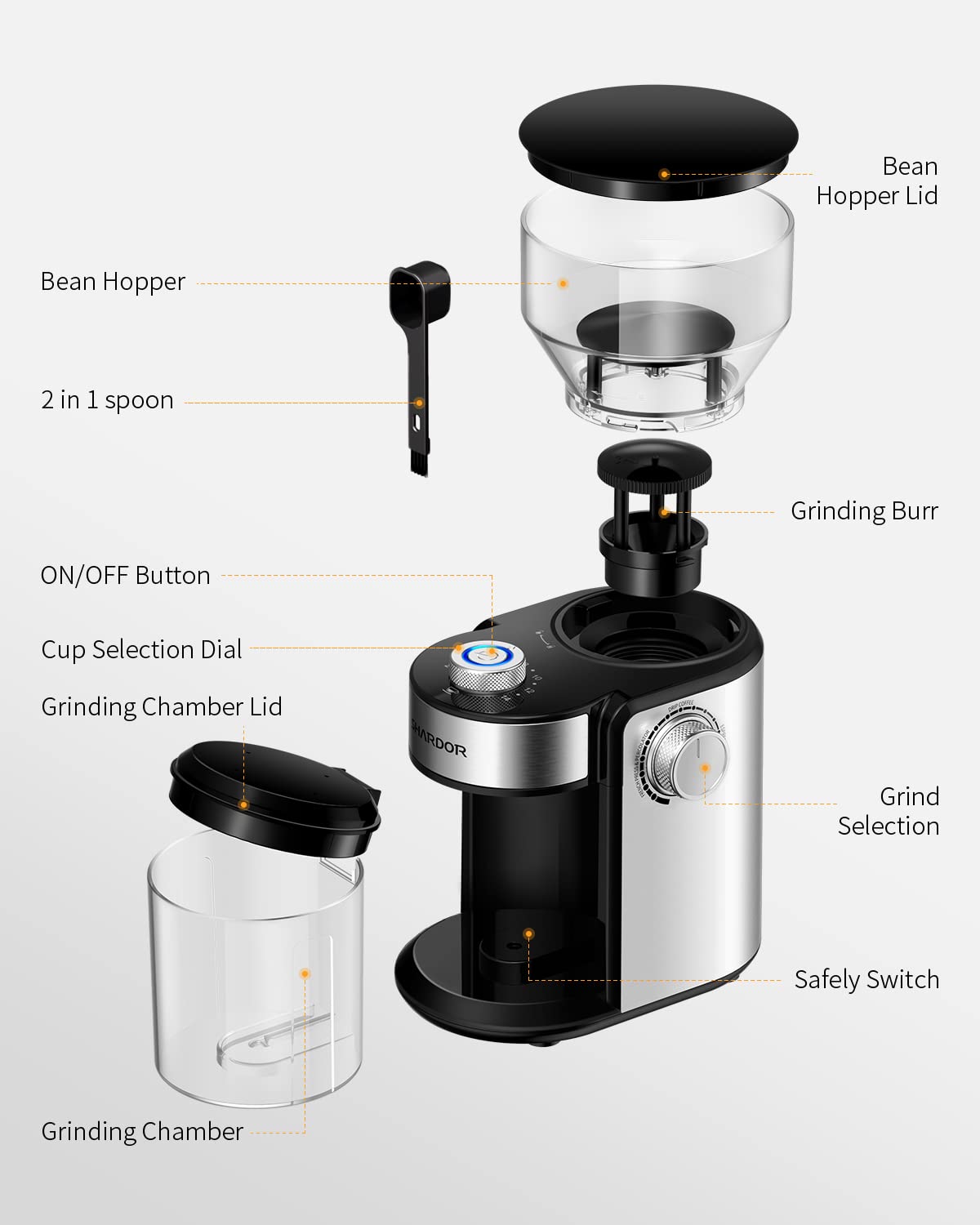 SHARDOR burr grinder stainless steel finish for modern kitchens