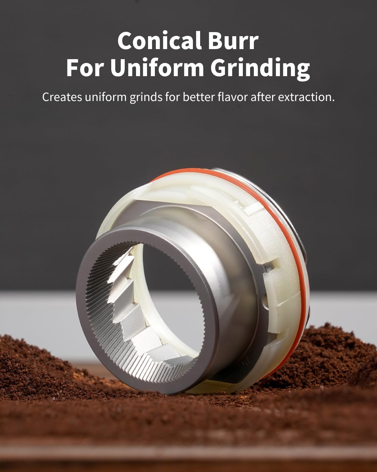 SHARDOR grinder 48 settings dial close-up demonstrates precise grind control for different brews.