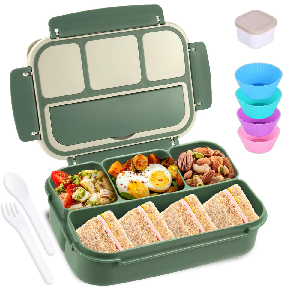 Shell and Turtle Bento Box green four-compartment layout for organized meals