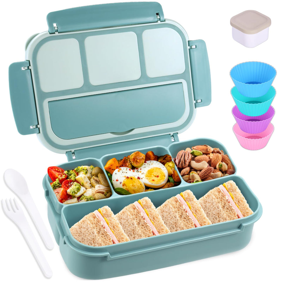 Shell and Turtle teal bento box in front view highlighting durable, daily-use design.