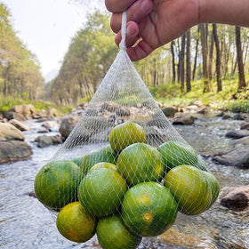 Shellvcase crab, clam, crawfish bag ideal for seafood cleanup