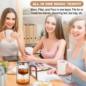 Shopwithgreen Enchanti Tea Pot setup for hot or cold brews