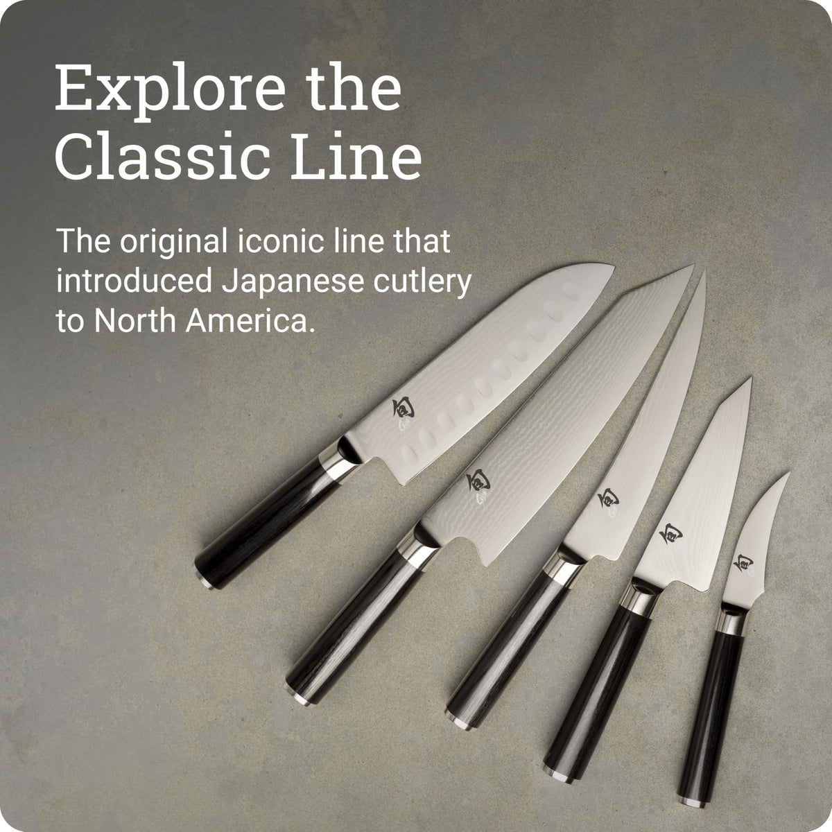 Shun Kiritsuke slicing boneless meat for clean portions.