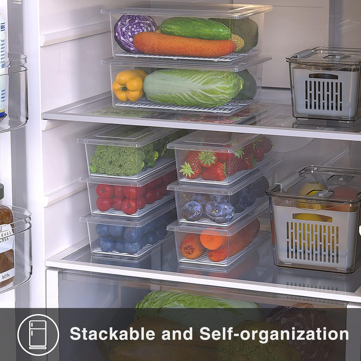 SILIVO blueberries and greens storage in dedicated compartments.