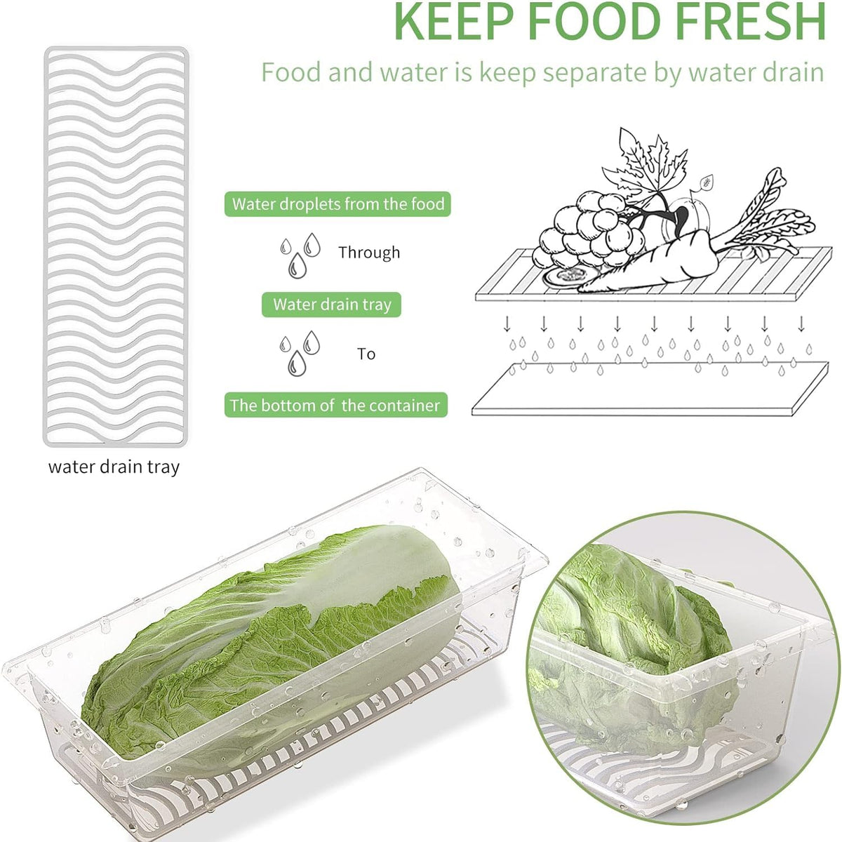 SILIVO BPA-free PP material ensures safe, reusable containers.