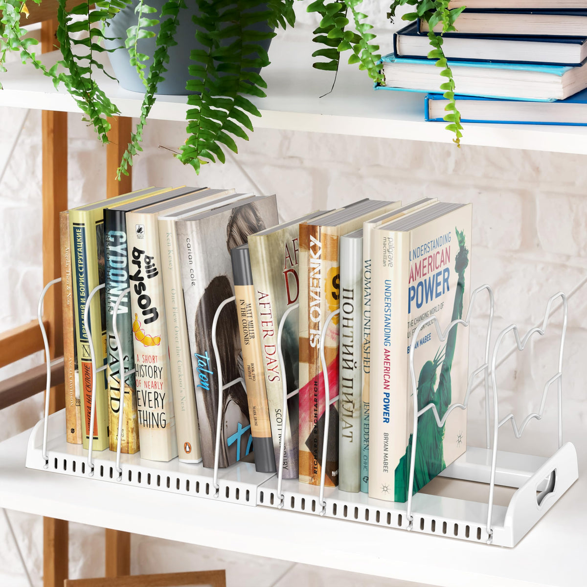Simple Houseware countertop kitchen setup shows easy reach and reduced clutter