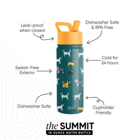 Simple Modern Kids Summit bottle Dog Days front close-up shows leakproof straw lid