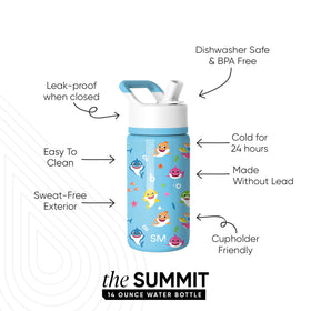Double-wall stainless steel keeps drinks cold for hours in the Summit 14oz bottle.