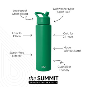 Vacuum-insulated stainless steel Simple Modern bottle maintains temperature