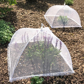 Simply Genius breathable mesh keeps heat venting while protecting food outdoors