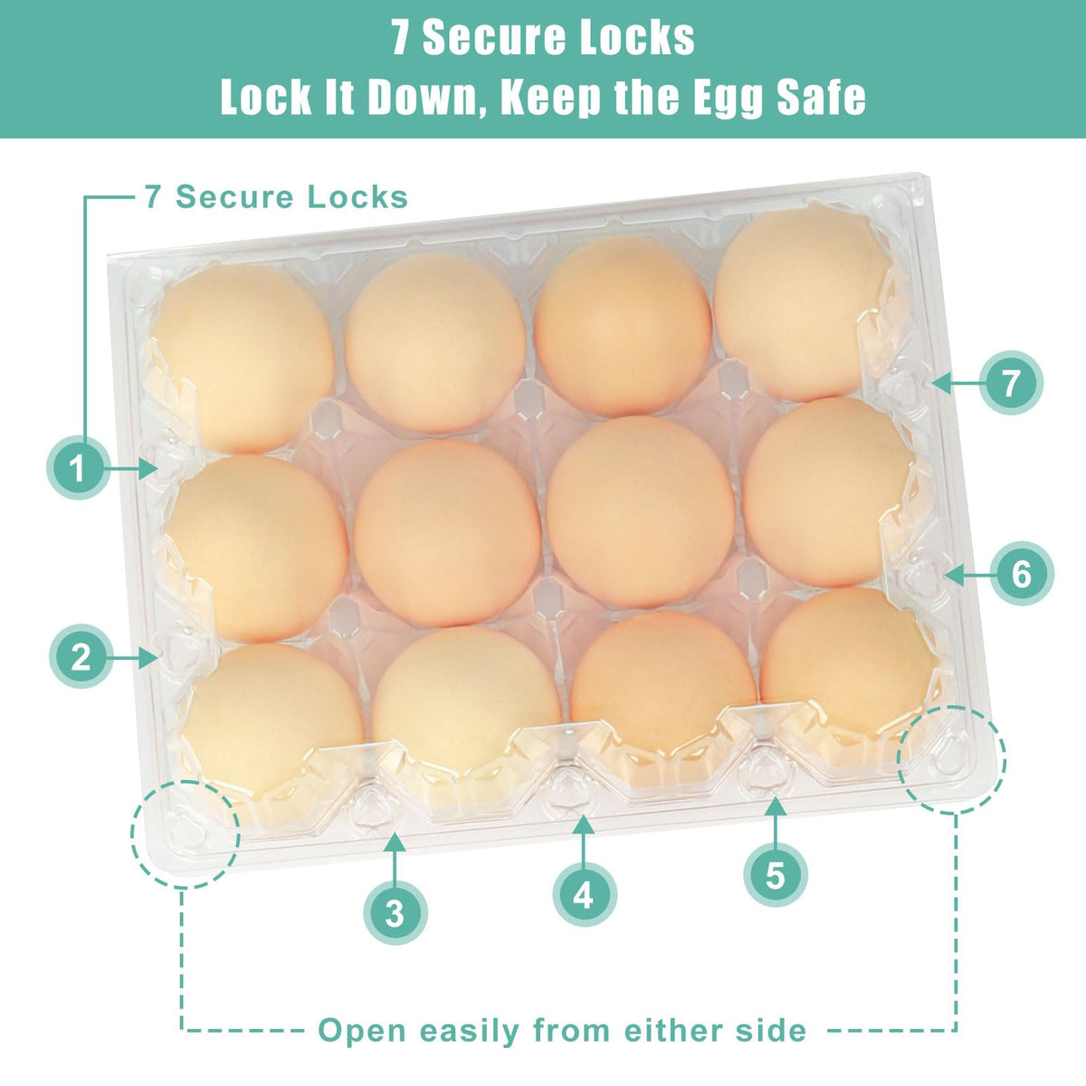 SINLUCESCE clear carton enables quick egg condition checks at a glance